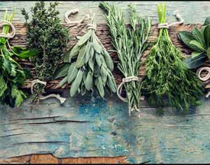 Herbs-to-help-with-dementia