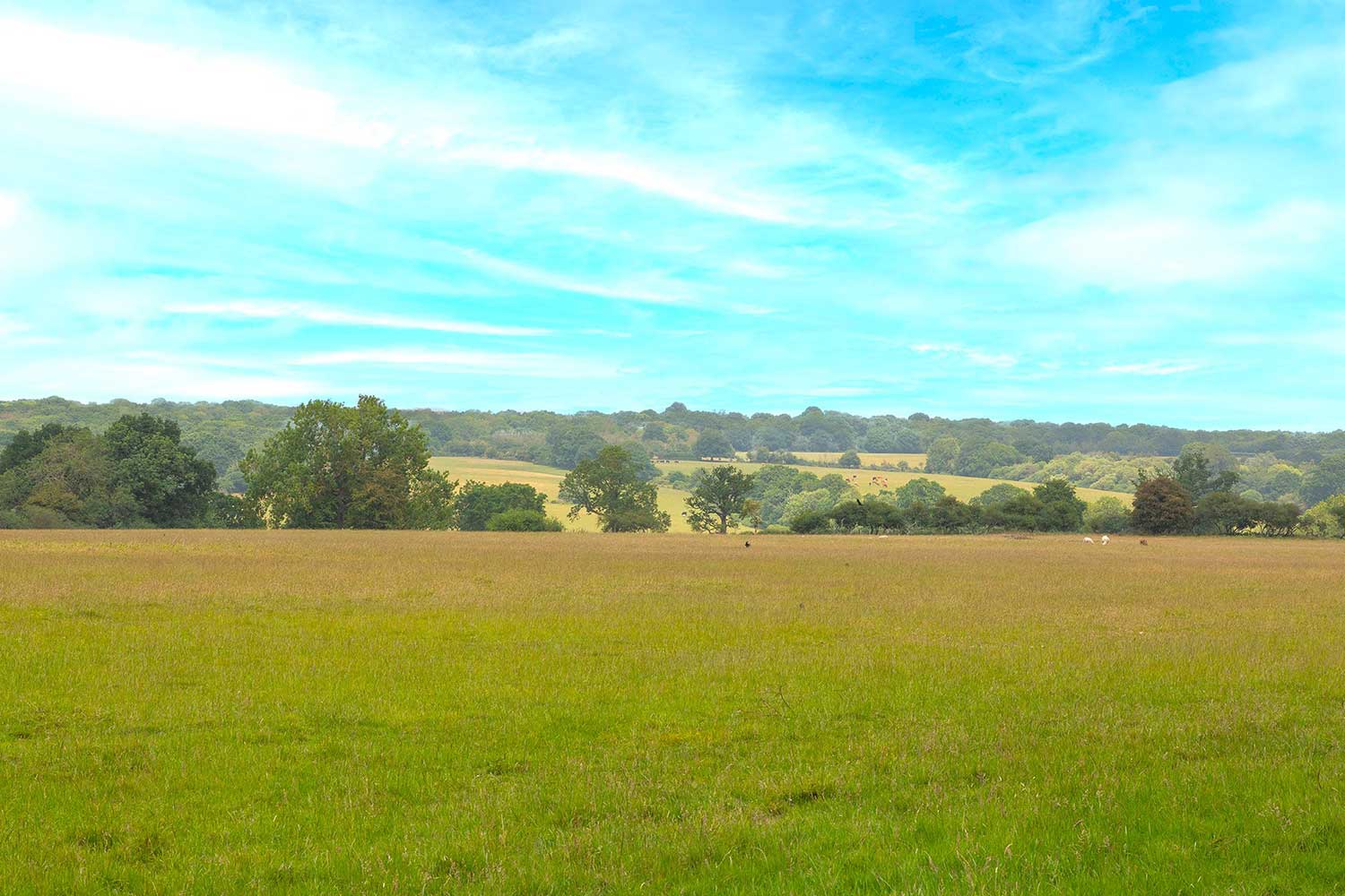 view-over-fields